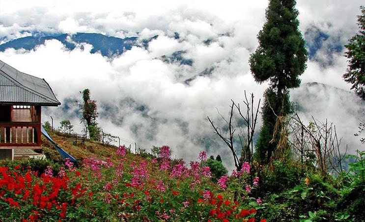 🏔️ Kalimpong - Lava Tour Package 3N - 4D