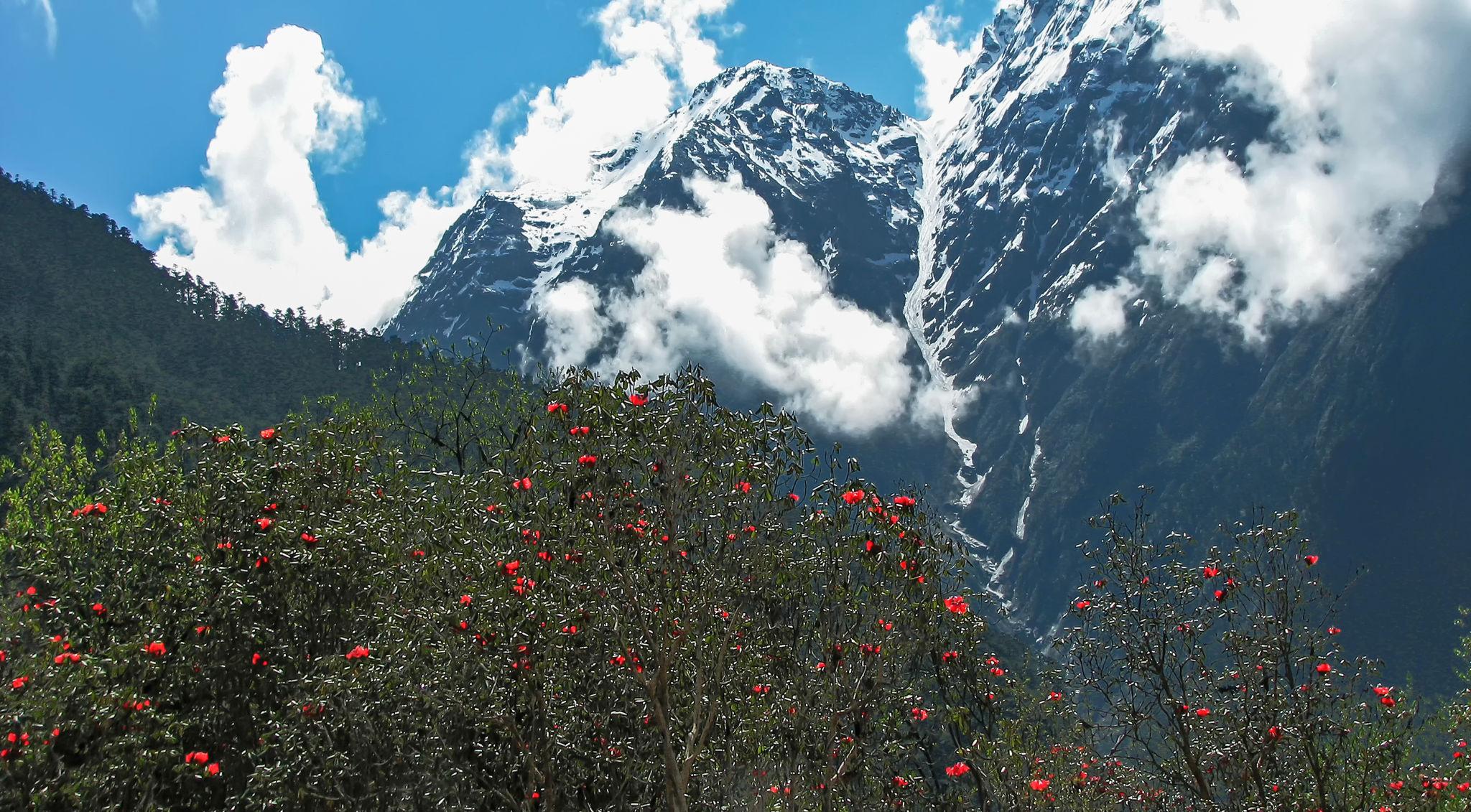 Gangtok - Lachung Tour Package 4 Nights - 5 Days
