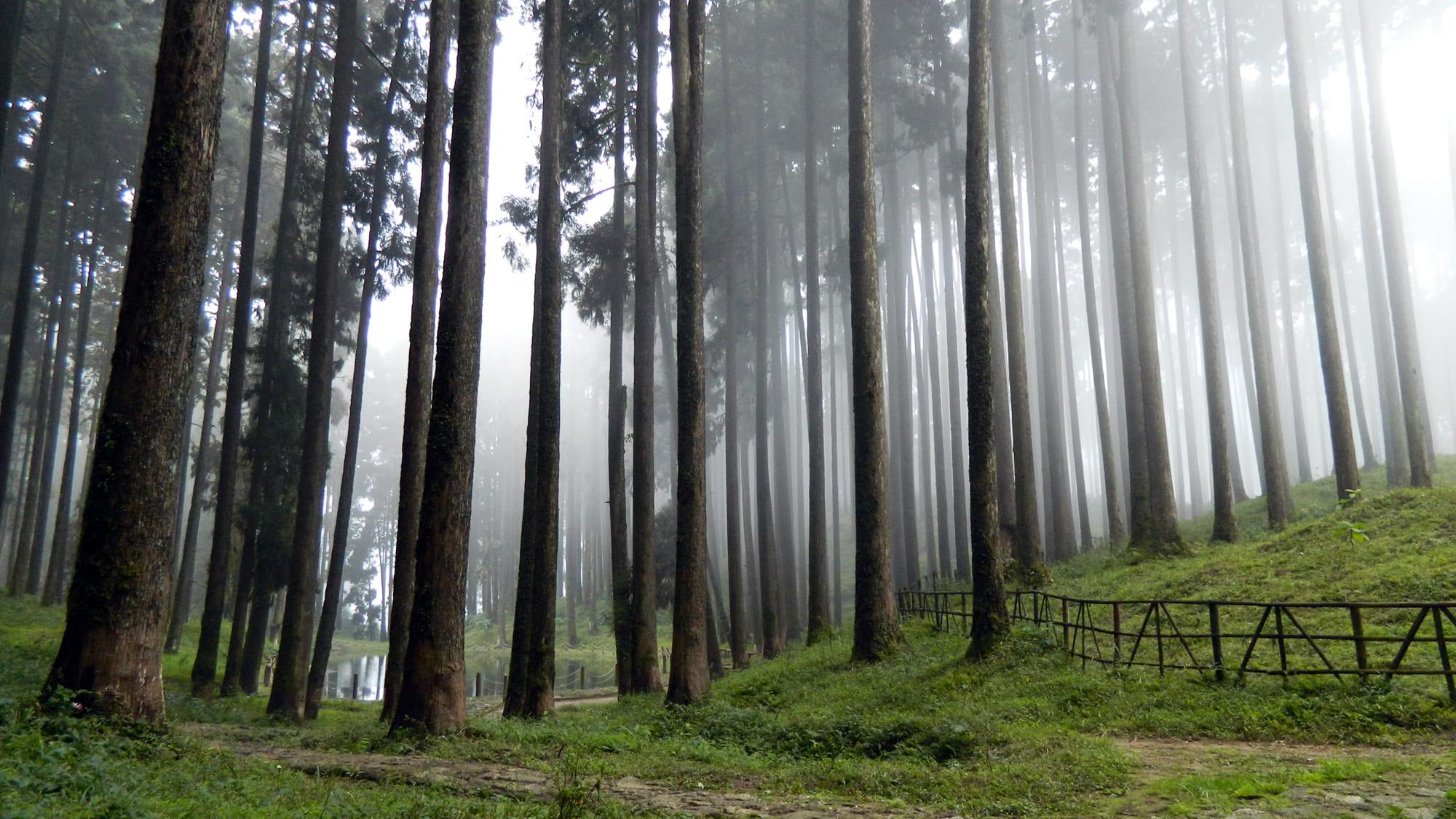 Zuluk Silk Route Tour Package 4N-5D