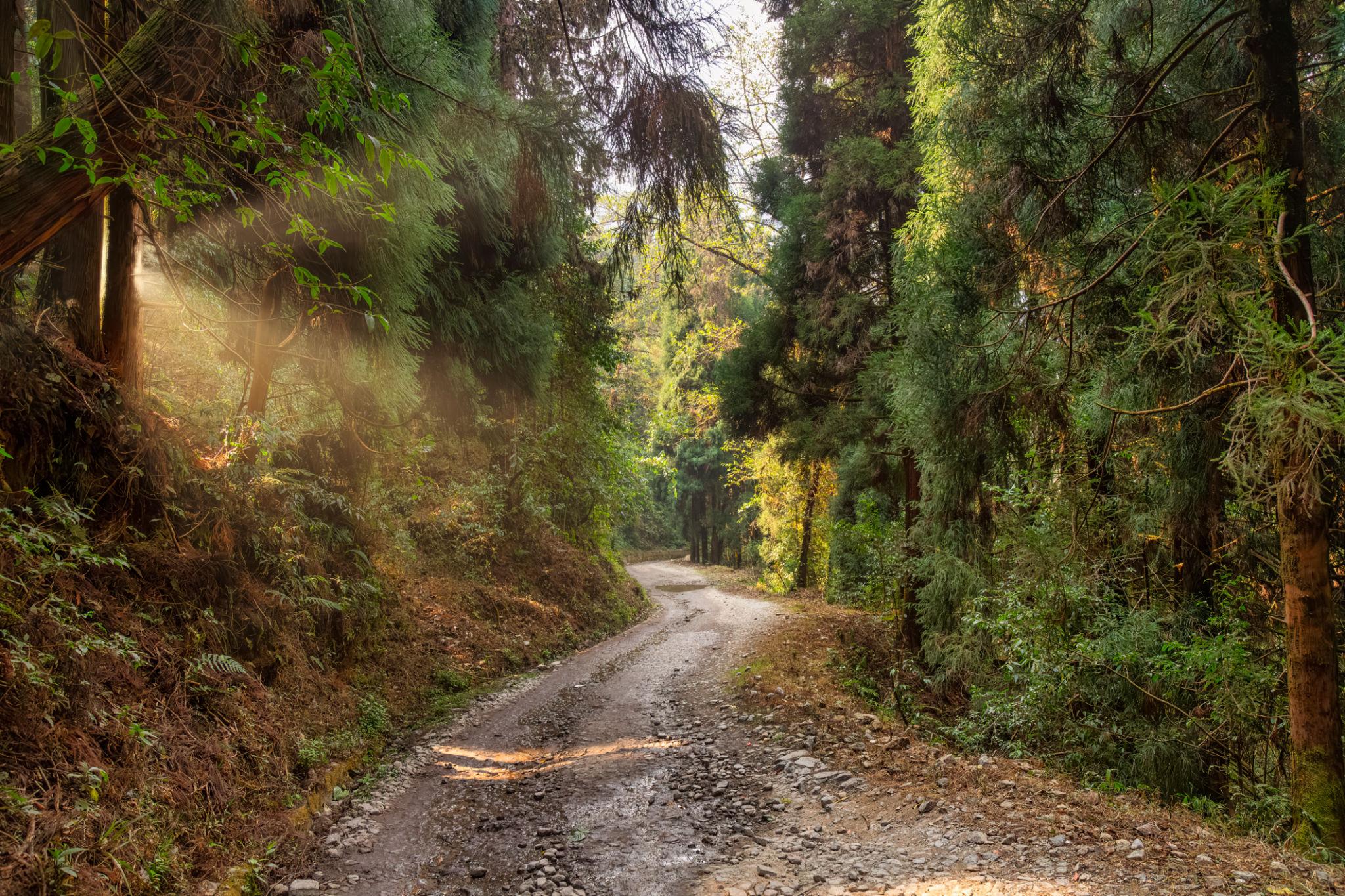 🏔️ Kalimpong - Lava Tour Package 3N - 4D