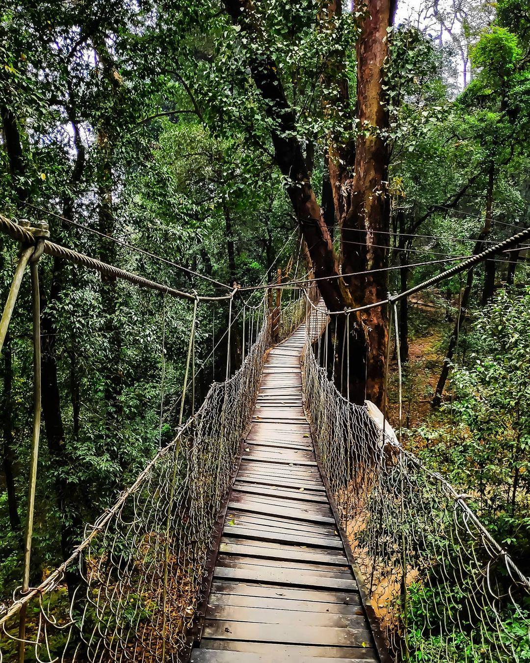 🏔️ Kalimpong - Lava Tour Package 3N - 4D