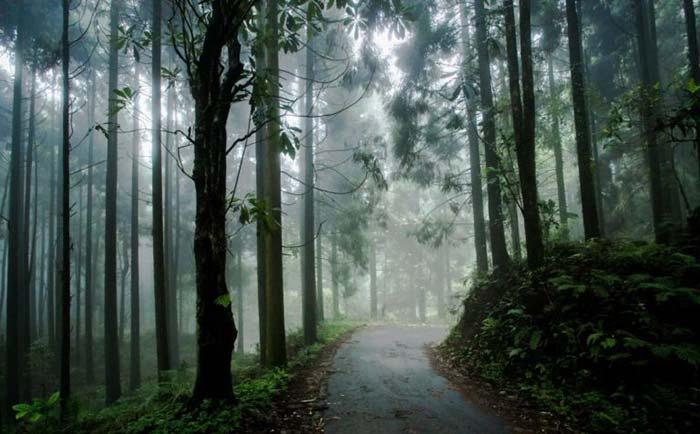 KALIMPONG – LOLEGAON – LAVA TOUR PACKAGE 5N-6D